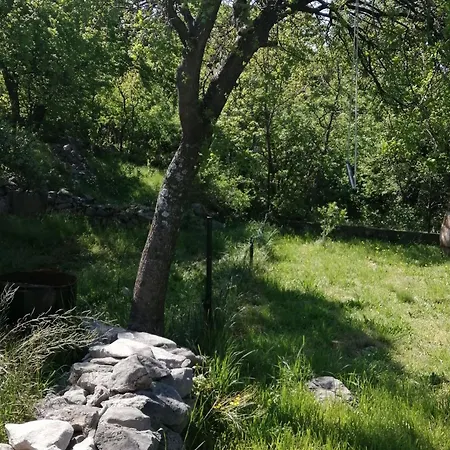 Serene