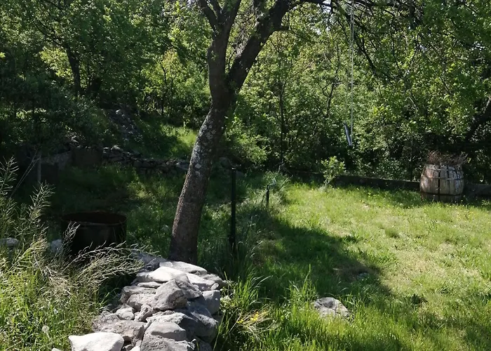 Serene In Near The Town Senj